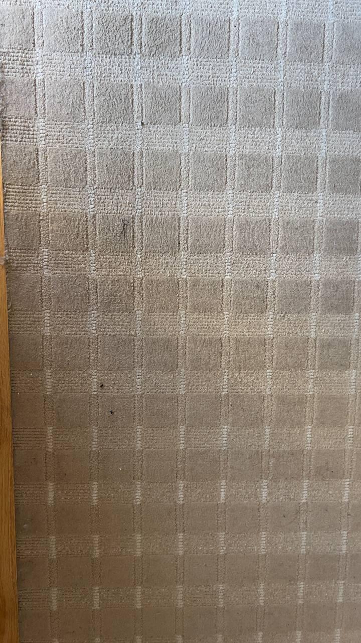 Carpet — Before